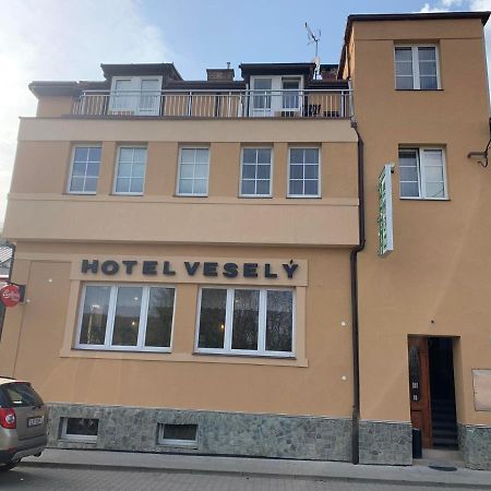 Penzion Vesely Zelezny Brod Kültér fotó
