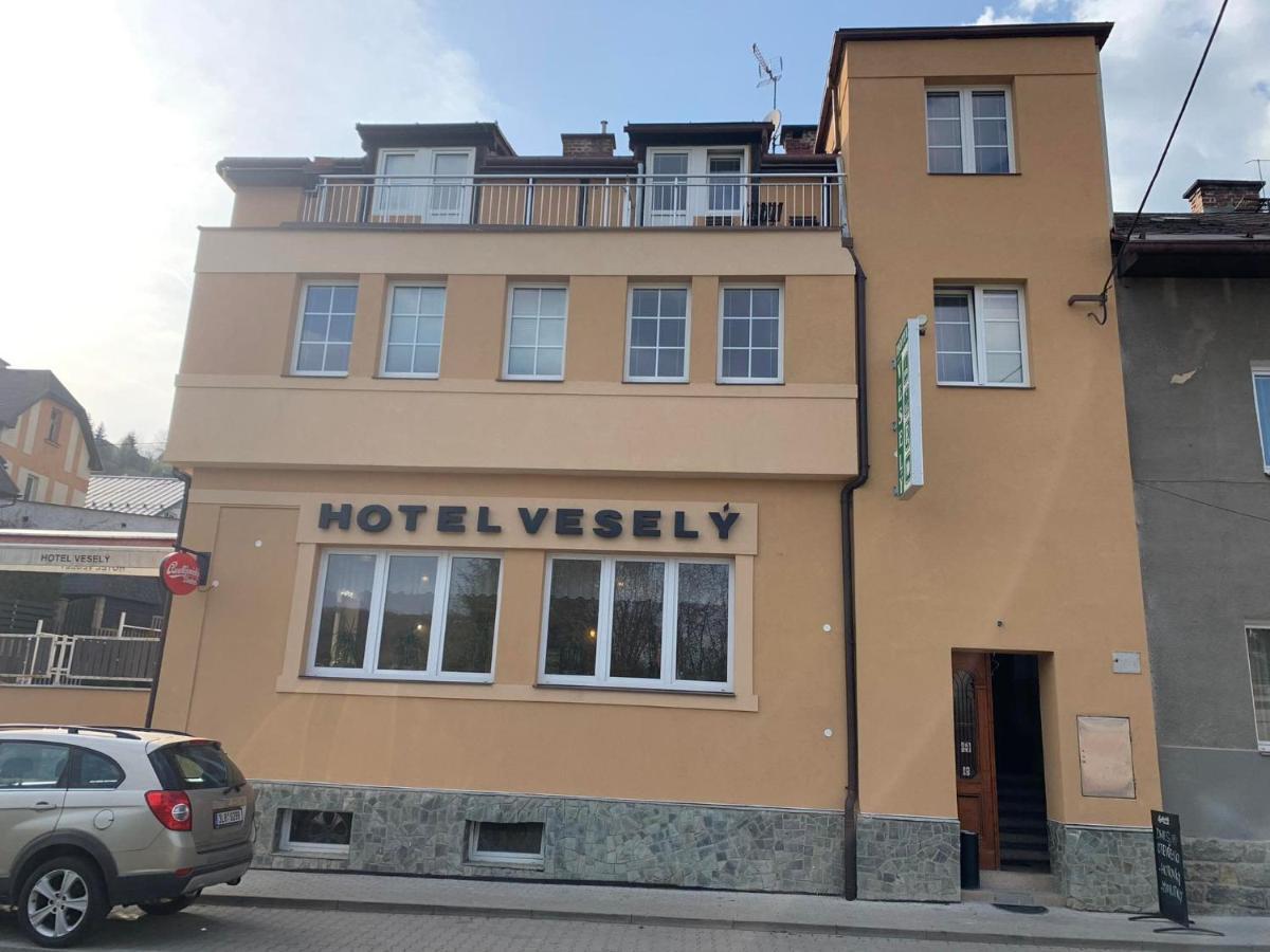 Penzion Vesely Zelezny Brod Kültér fotó